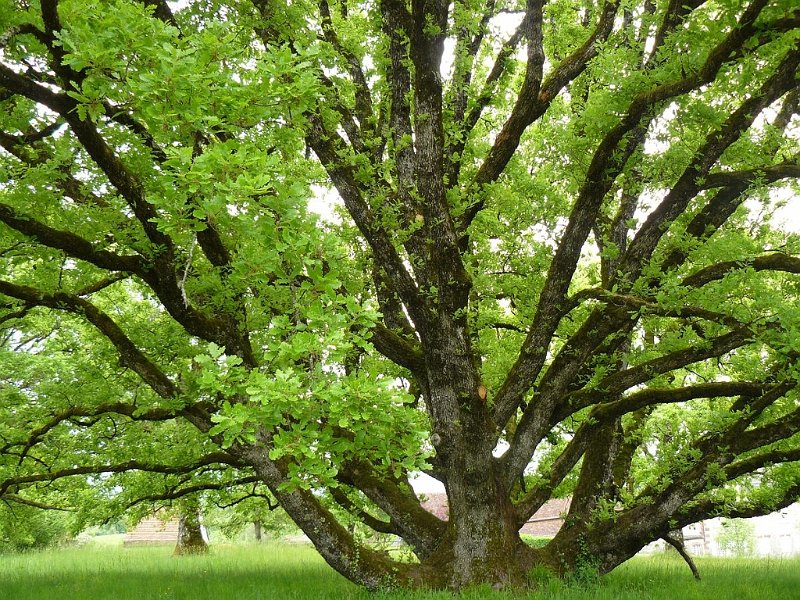 2008 05 Séjour à Martel 39